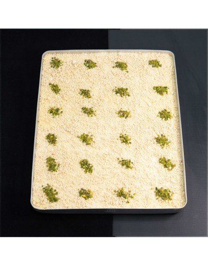 Tepsi Beyaz Çikolatalı Soğuk Kadayıf