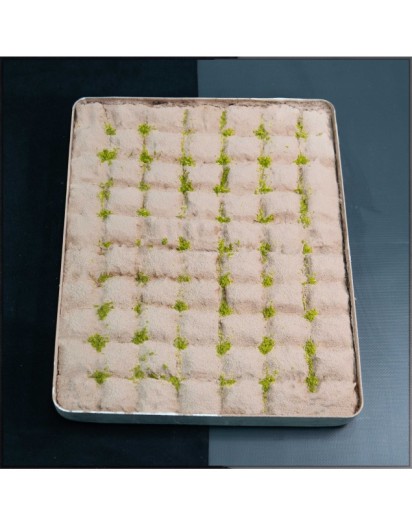 Tepsi Fıstıklı Soğuk Baklava