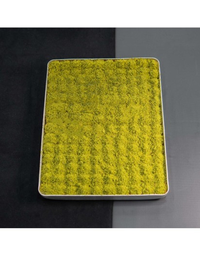 Tepsi Fıstıklı Paşa Lokumu